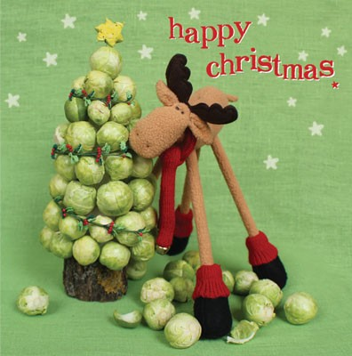 Sprouts Action Medical Research.png